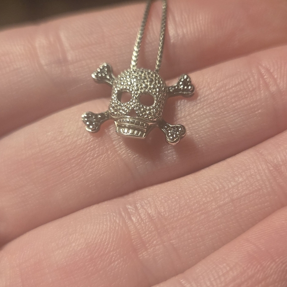 Sterling Silver and Diamond Skull Pendant Necklace - Picture 2 of 4
